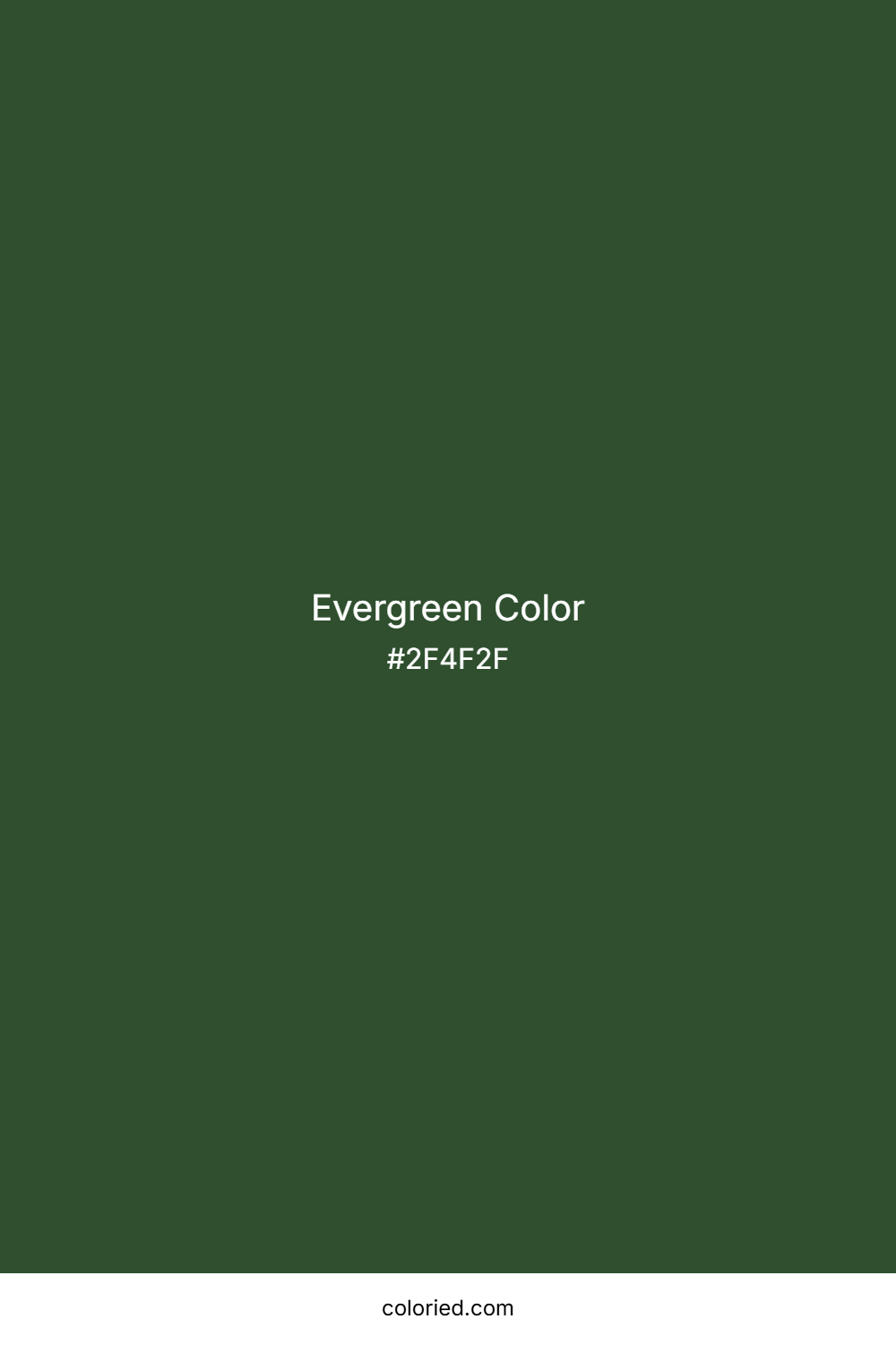Evergreen Color