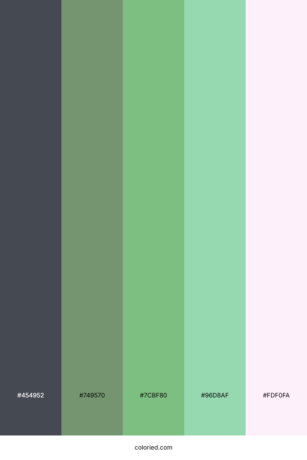 Evergreen Fern Whisper Palette