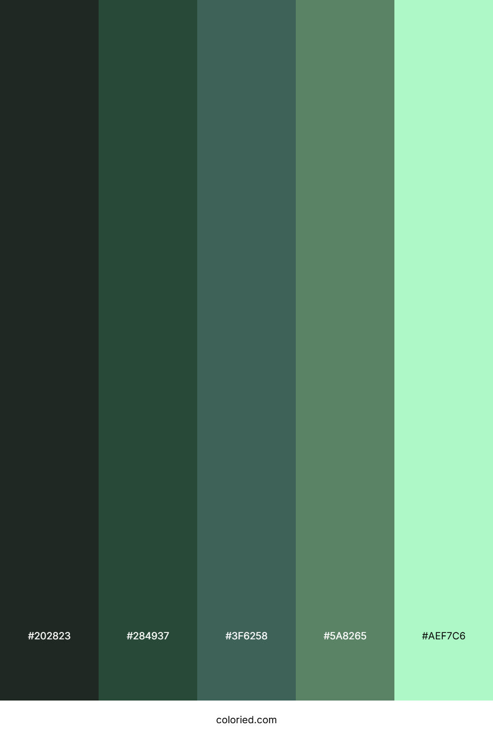 Evergreen Frost Hollow Color Palette
