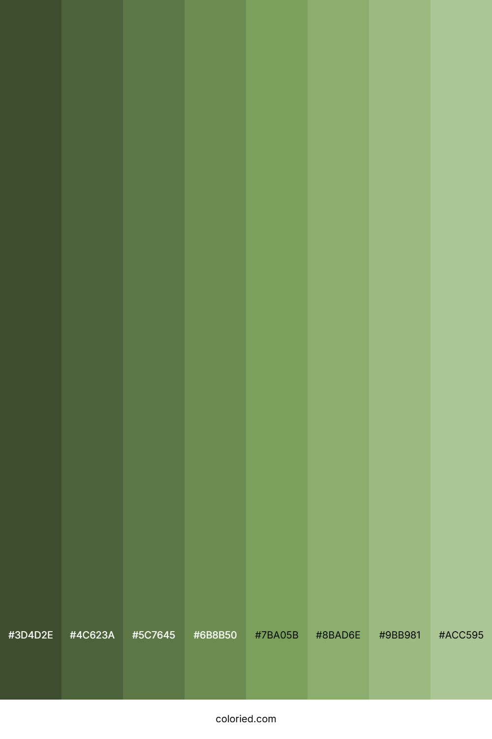 Evergreen Green Shades