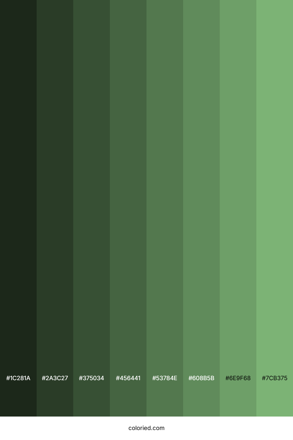 Faded Green Color Shades