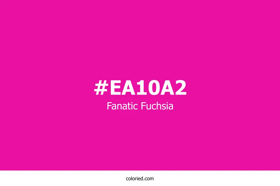 Fanatic Fuchsia Color