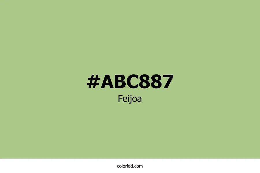 Feijoa Color
