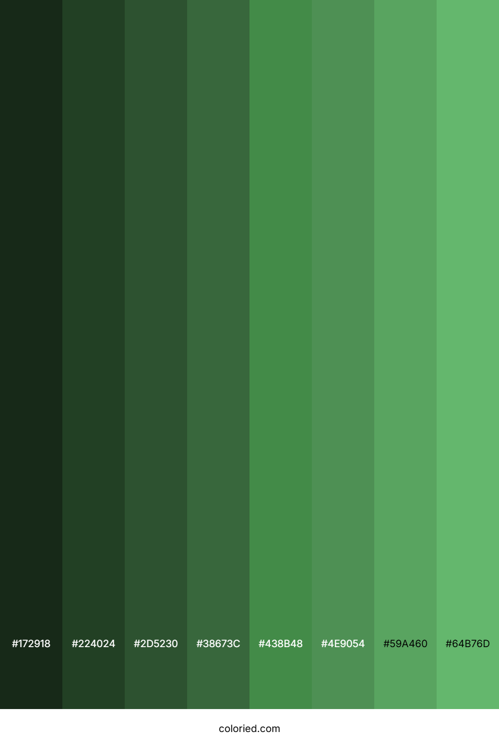 Fern Color Shades