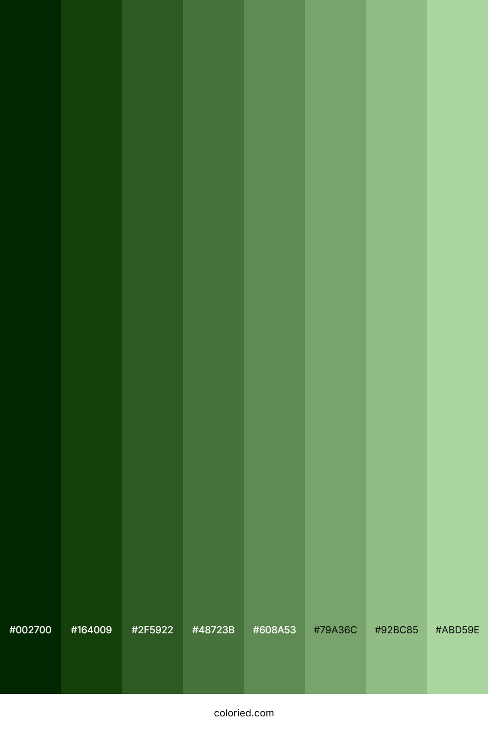 Fern Green Shades