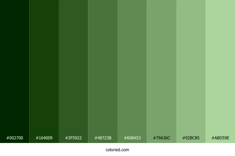 Fern Green Shades