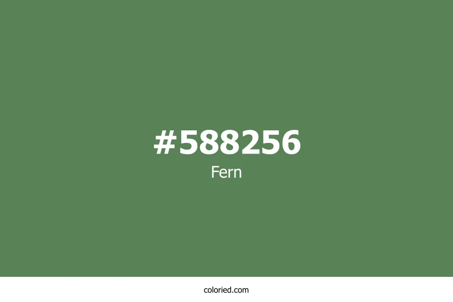 Fern Color