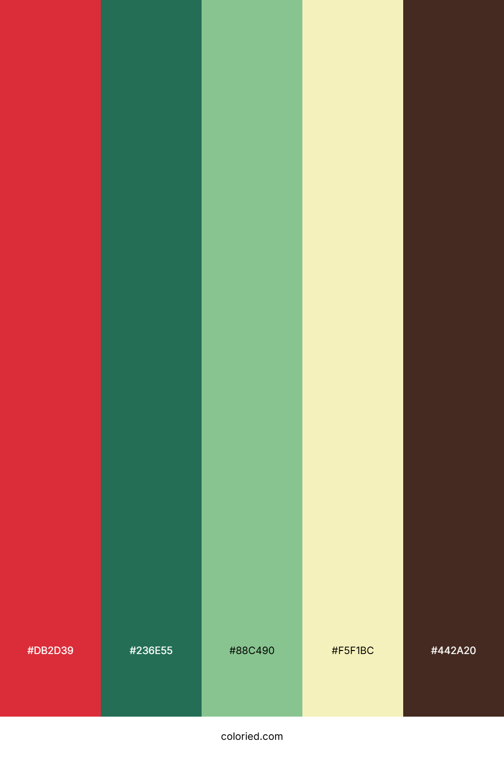 Festive Cranberry Spruce Color Palette