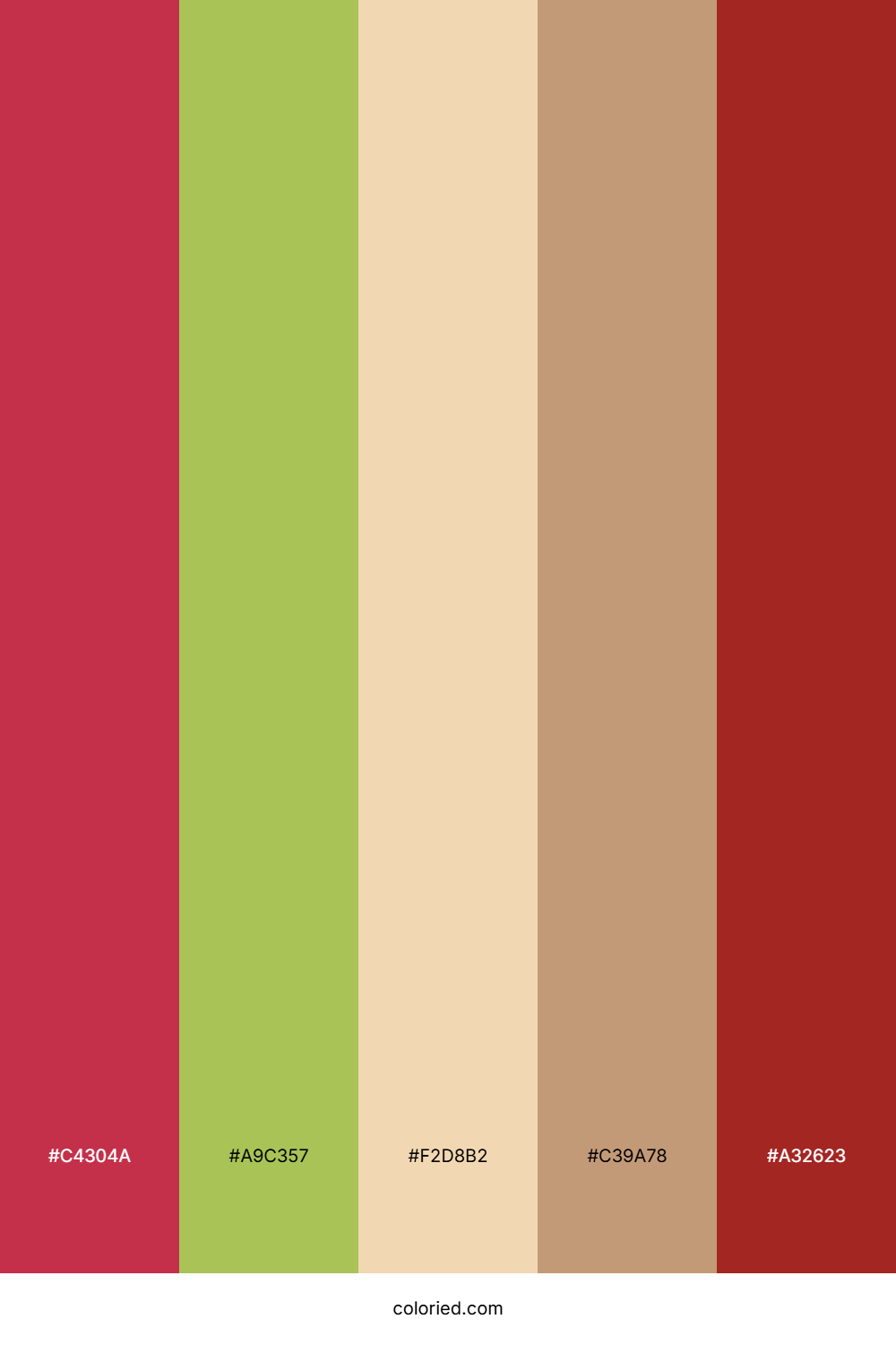 Festive Holly Cocoa Color Palette