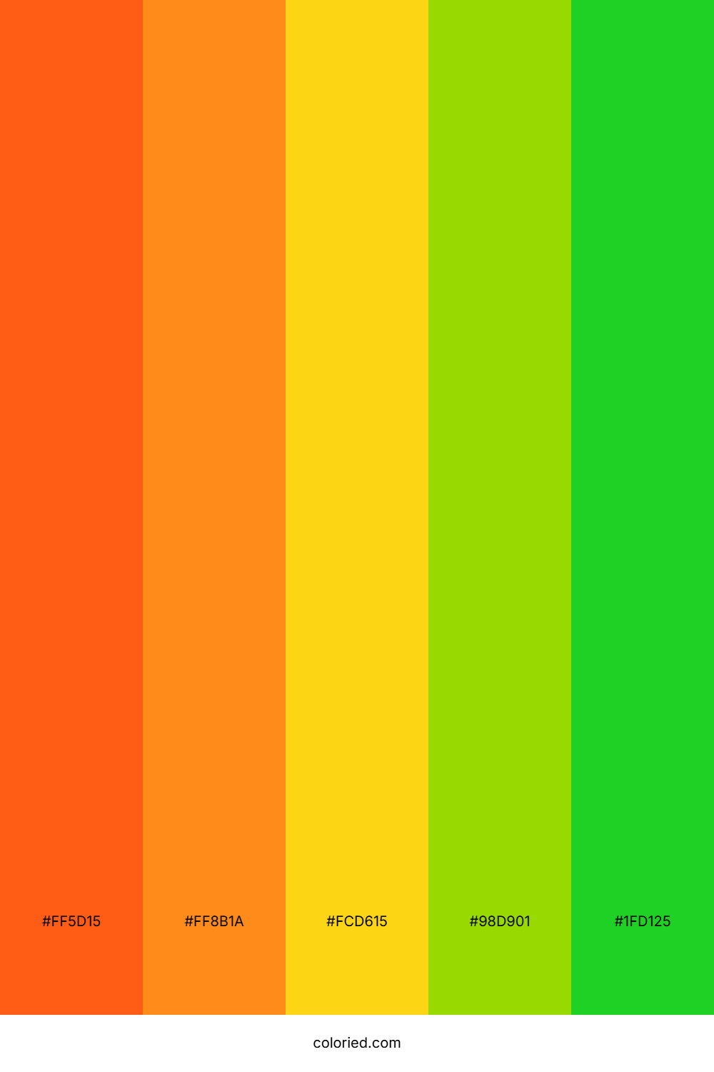 Flaming Orange Grove Color Palette