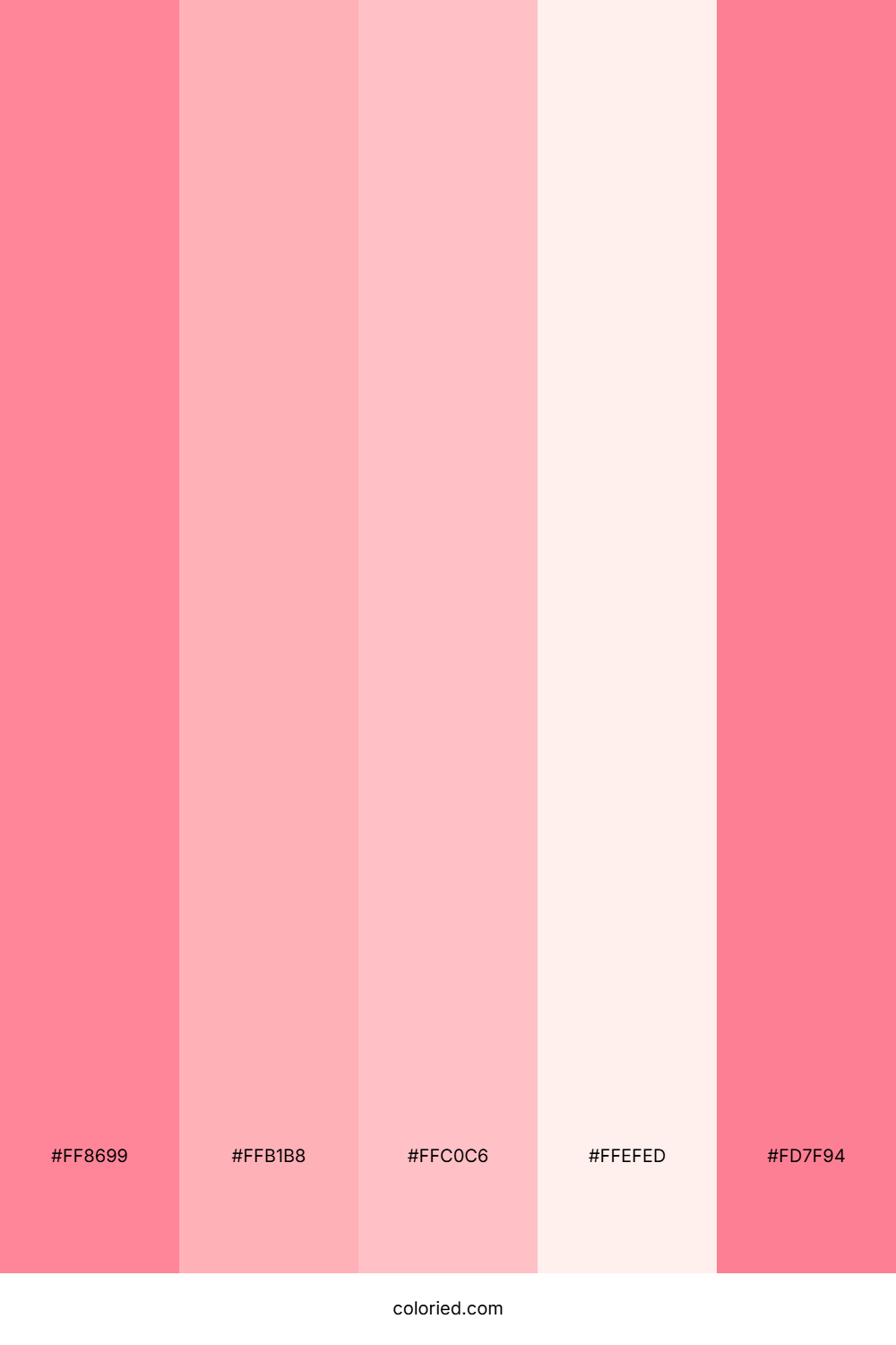 Flamingo and Cream Color Palette