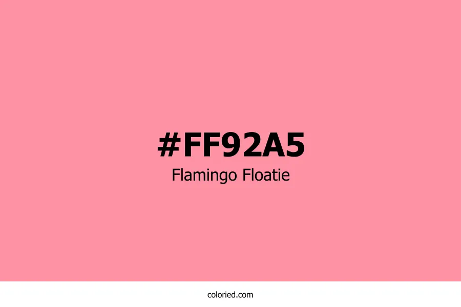 Flamingo Floatie Color