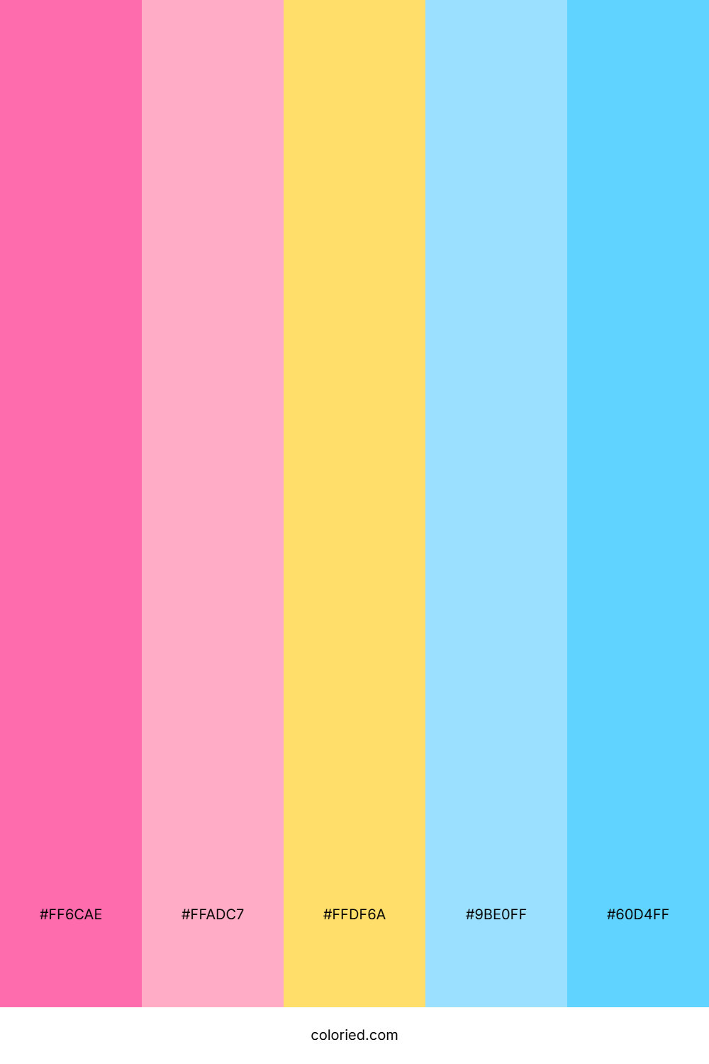 Flamingo Pink and Sky Blue Color Palette