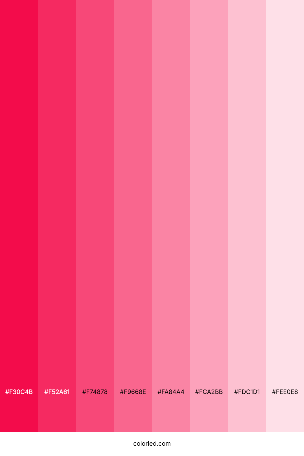 Flamingo Pink Shades