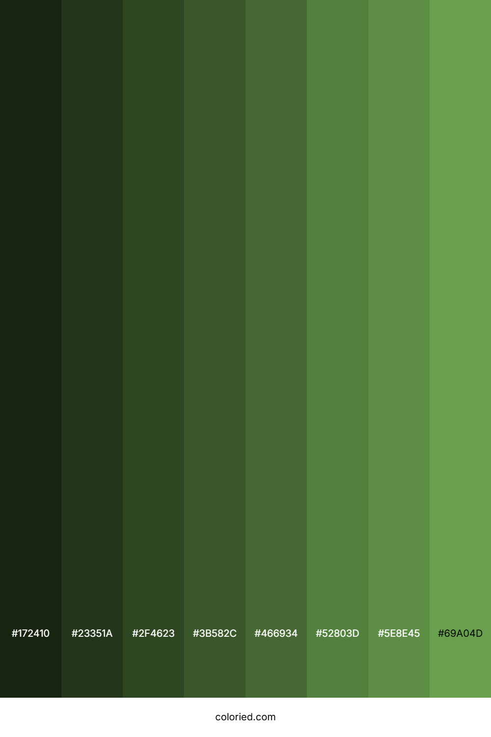 Flat Green Color Shades