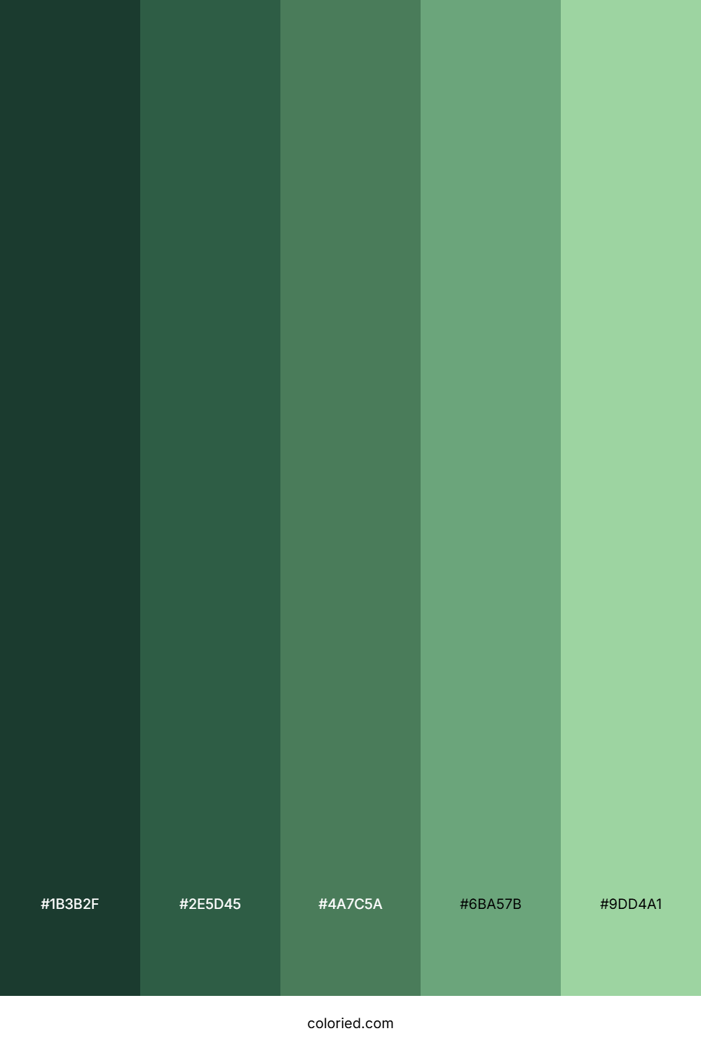 Flat Green Shades Color Palette