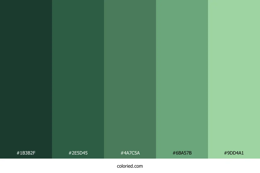 Flat Green Shades Color Palette