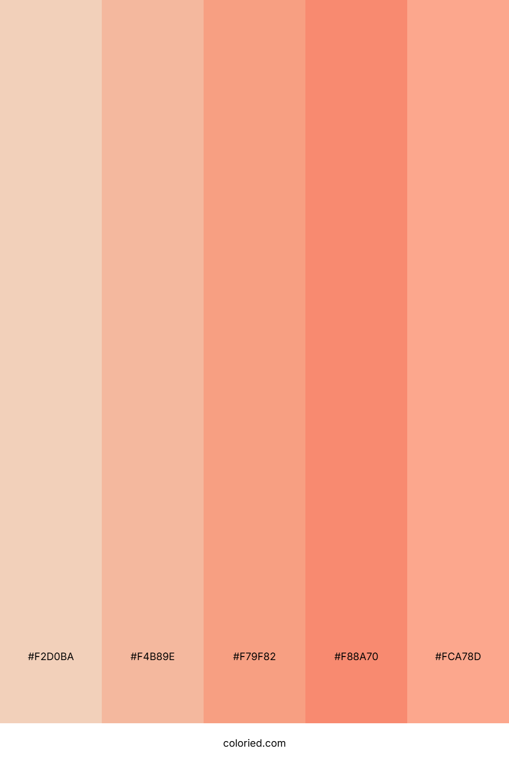 Flesh Color Palette