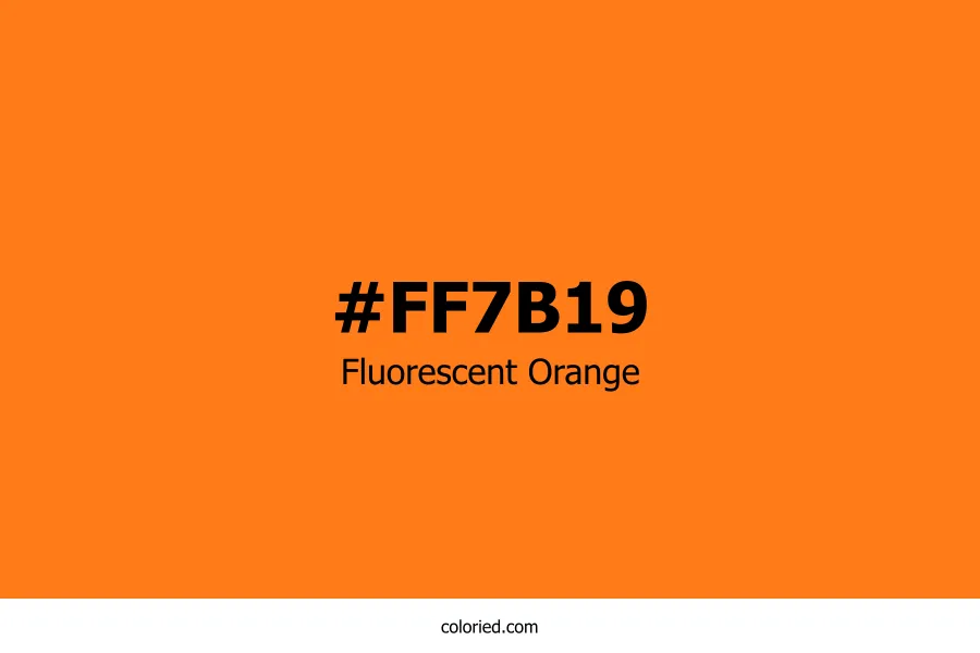 Fluorescent Orange Color