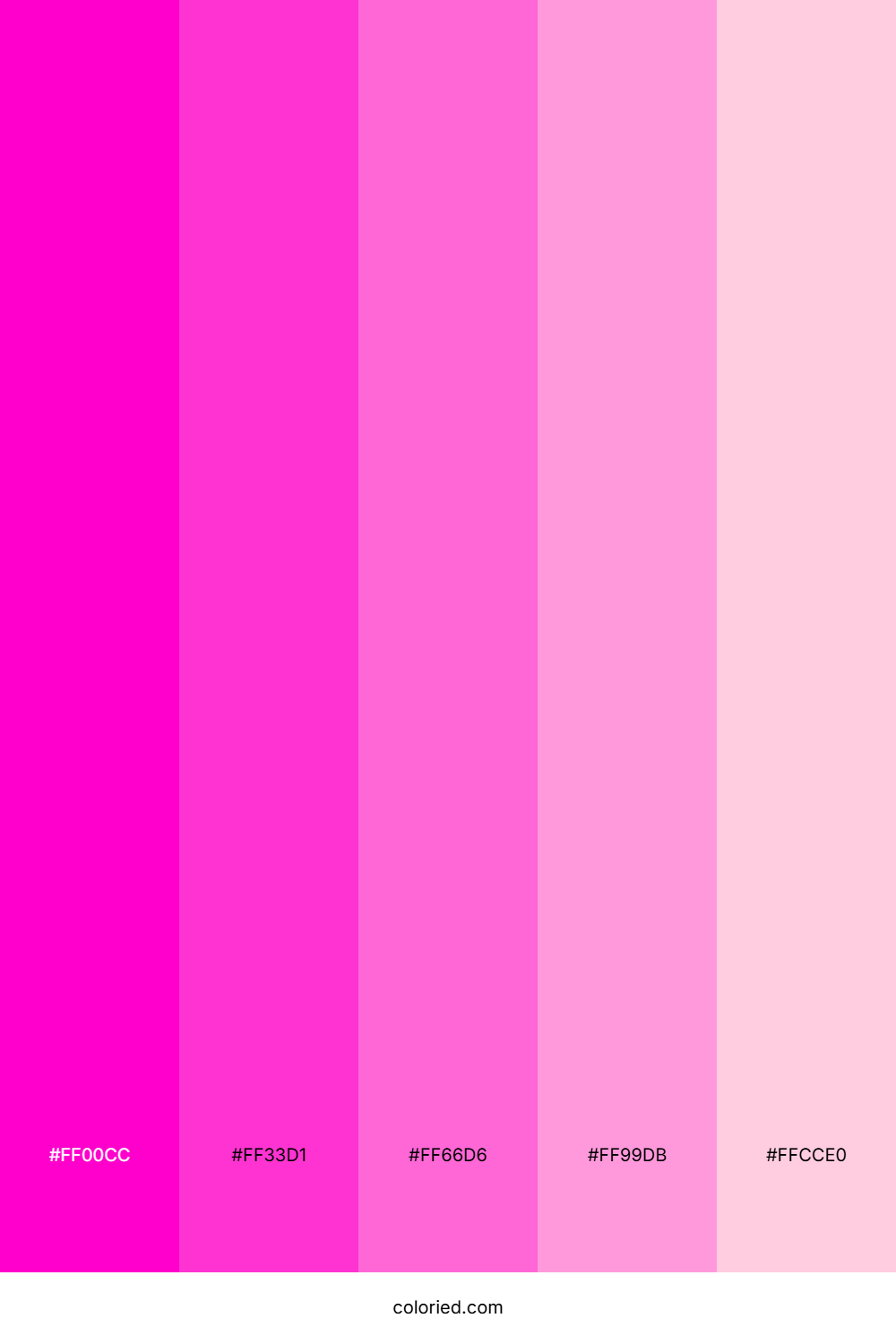 Fluorescent Pink Color Palette