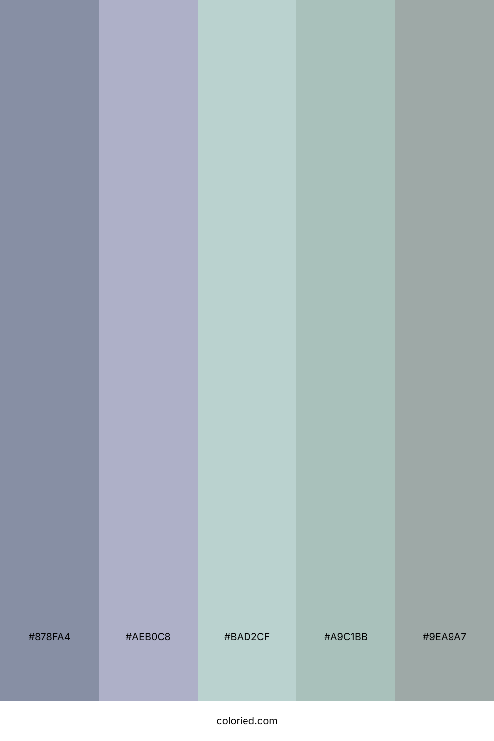 Foggy Lavender Meadow Color Palette