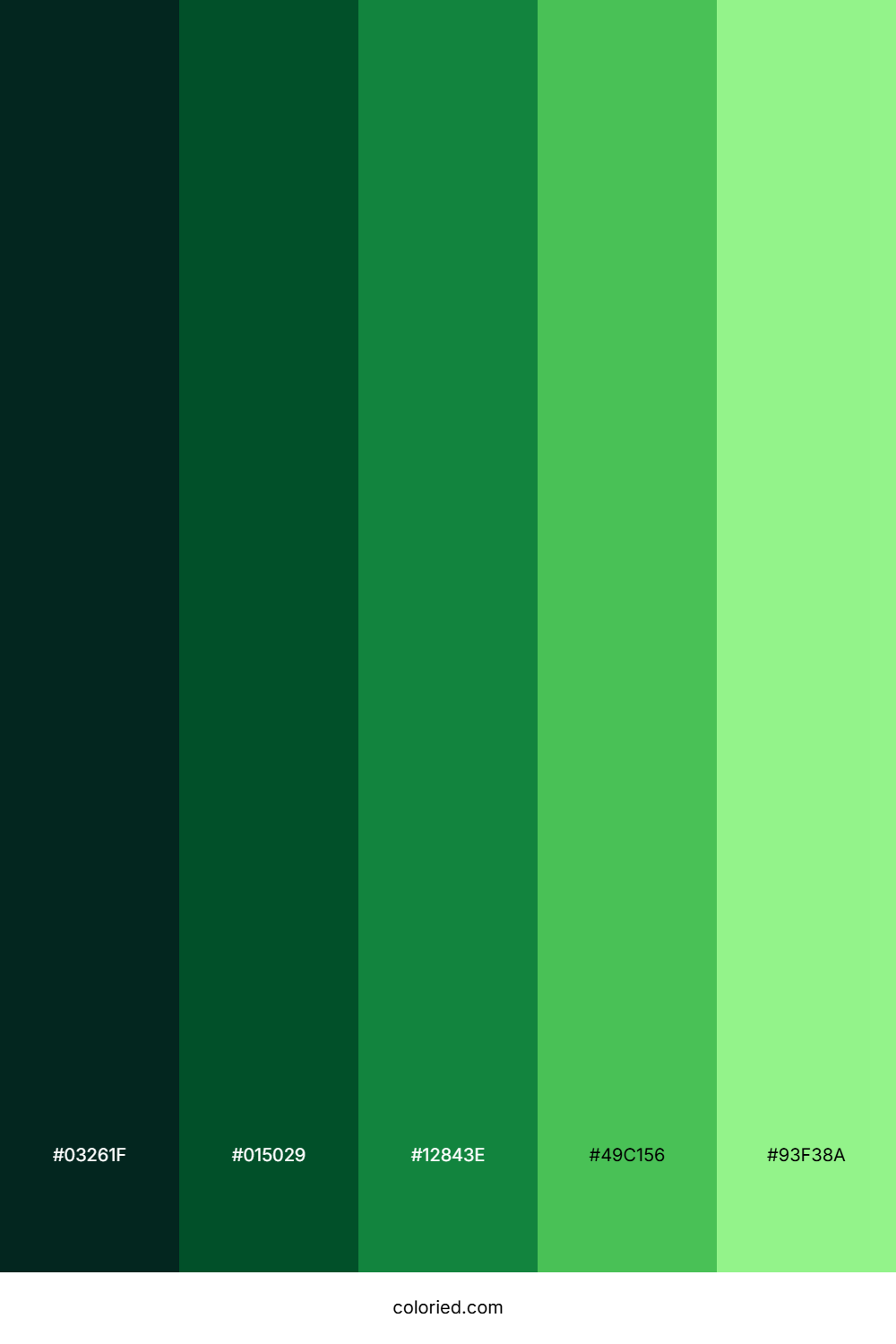 Forest and Kelly Green Color Palette