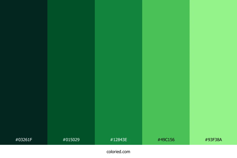 Forest and Kelly Green Color Palette