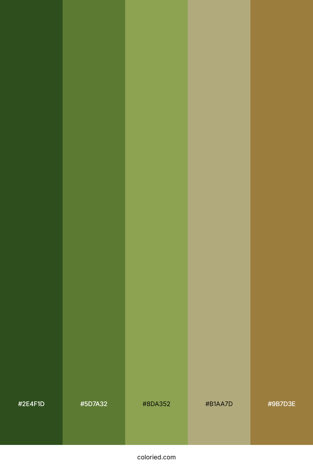 Forest and Olive Color Palette