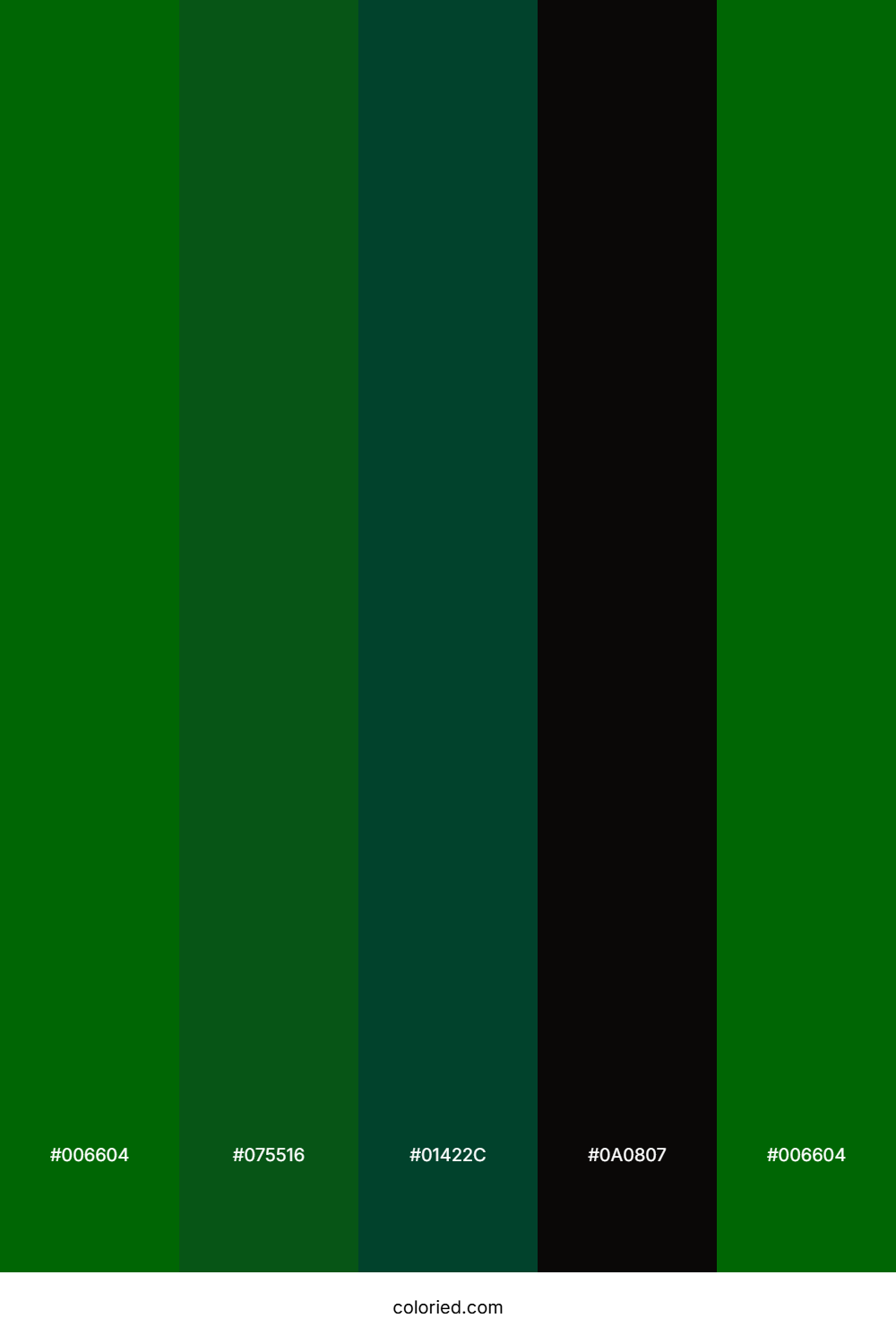Forest And Onyx Color Palette