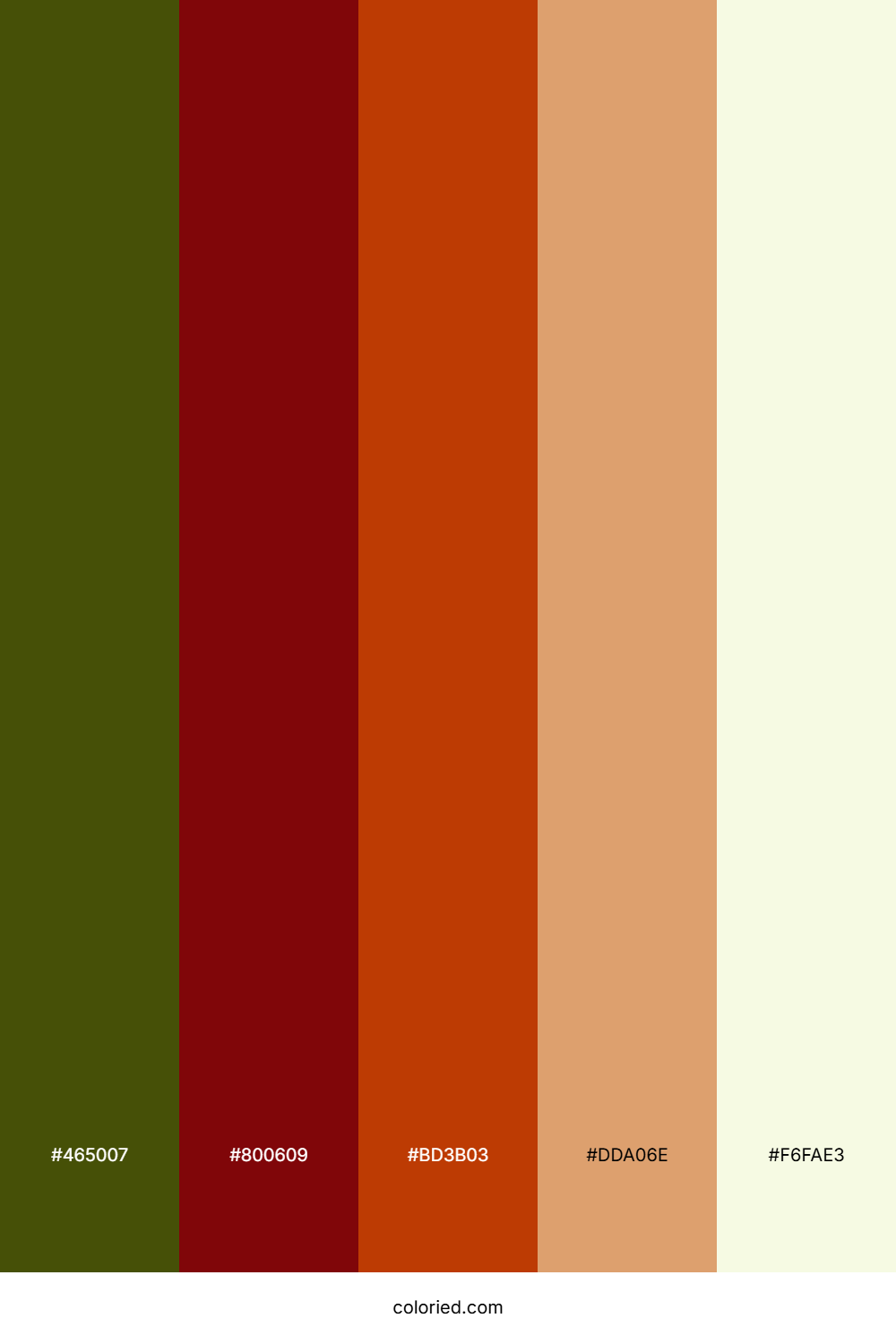 Forest Berry Dawn Color Palette