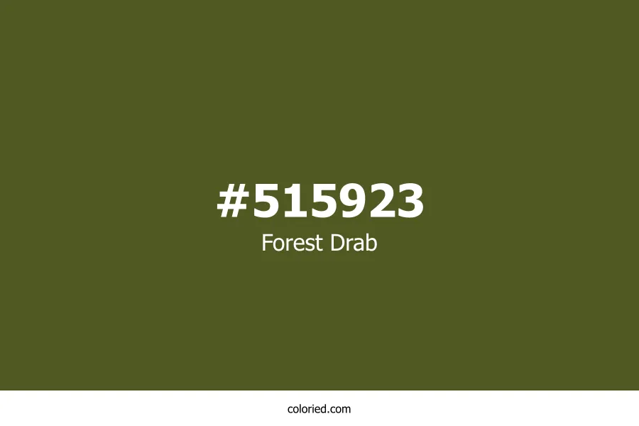 Forest Drab Color