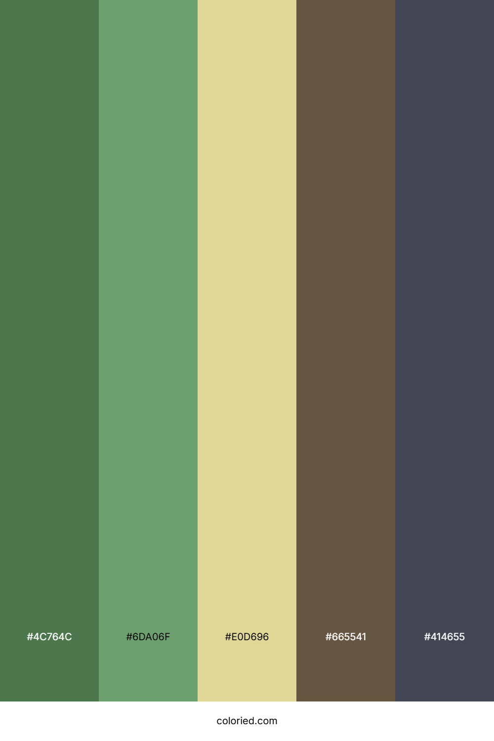 Forest Earth Tones Color Palette