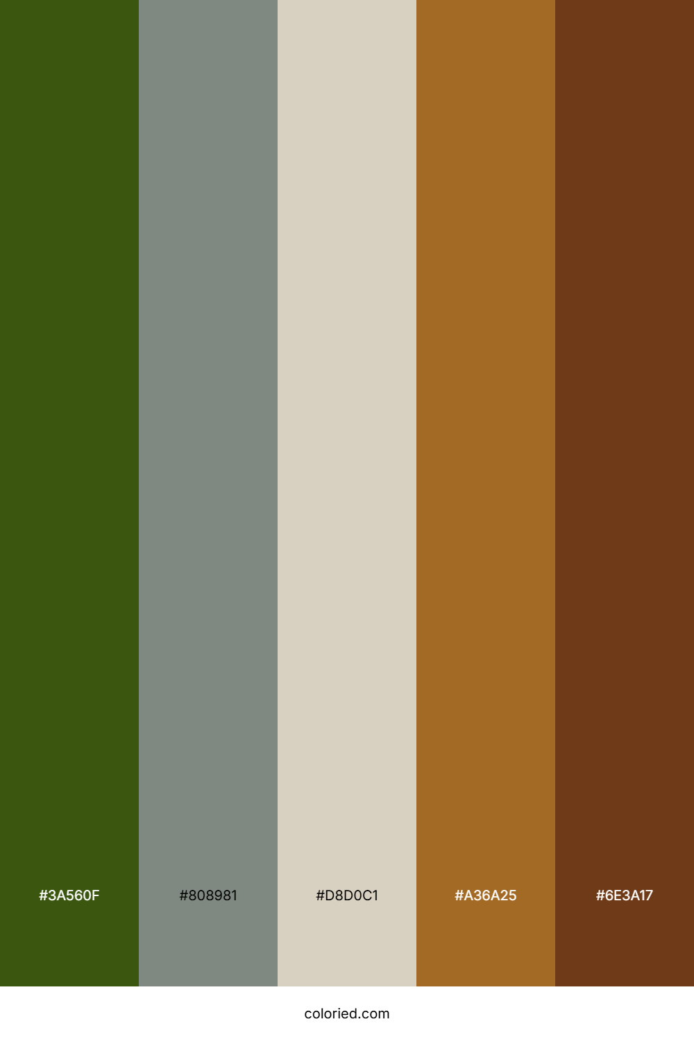Forest Fern Hearth Color Palette