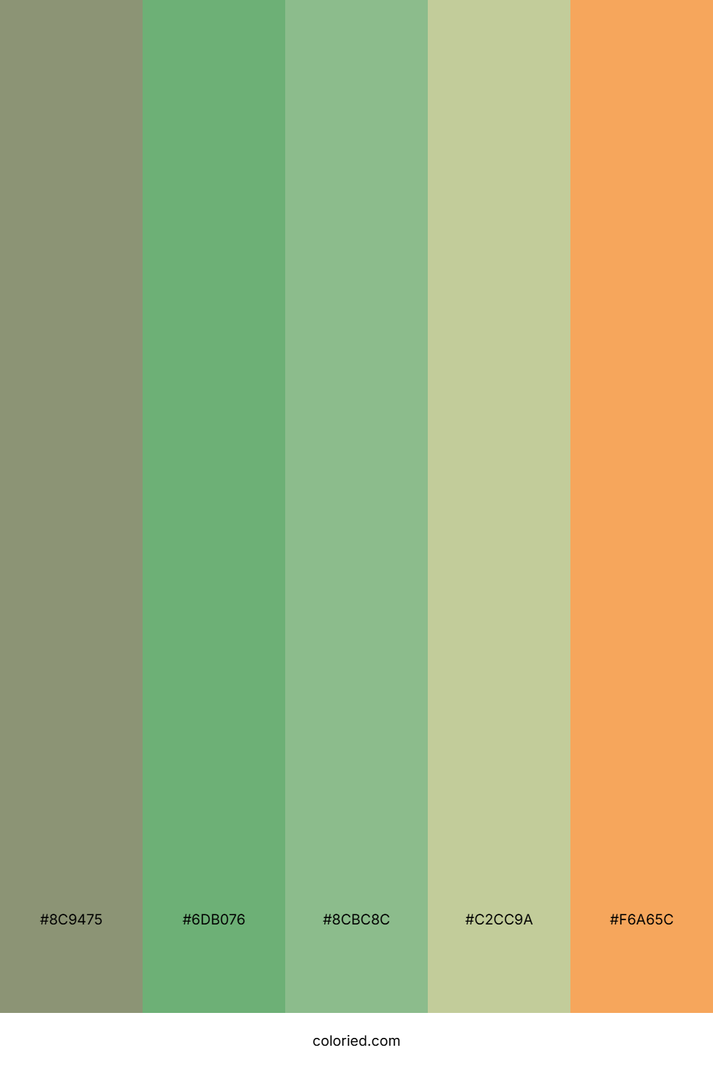 Forest Fern Light Palette