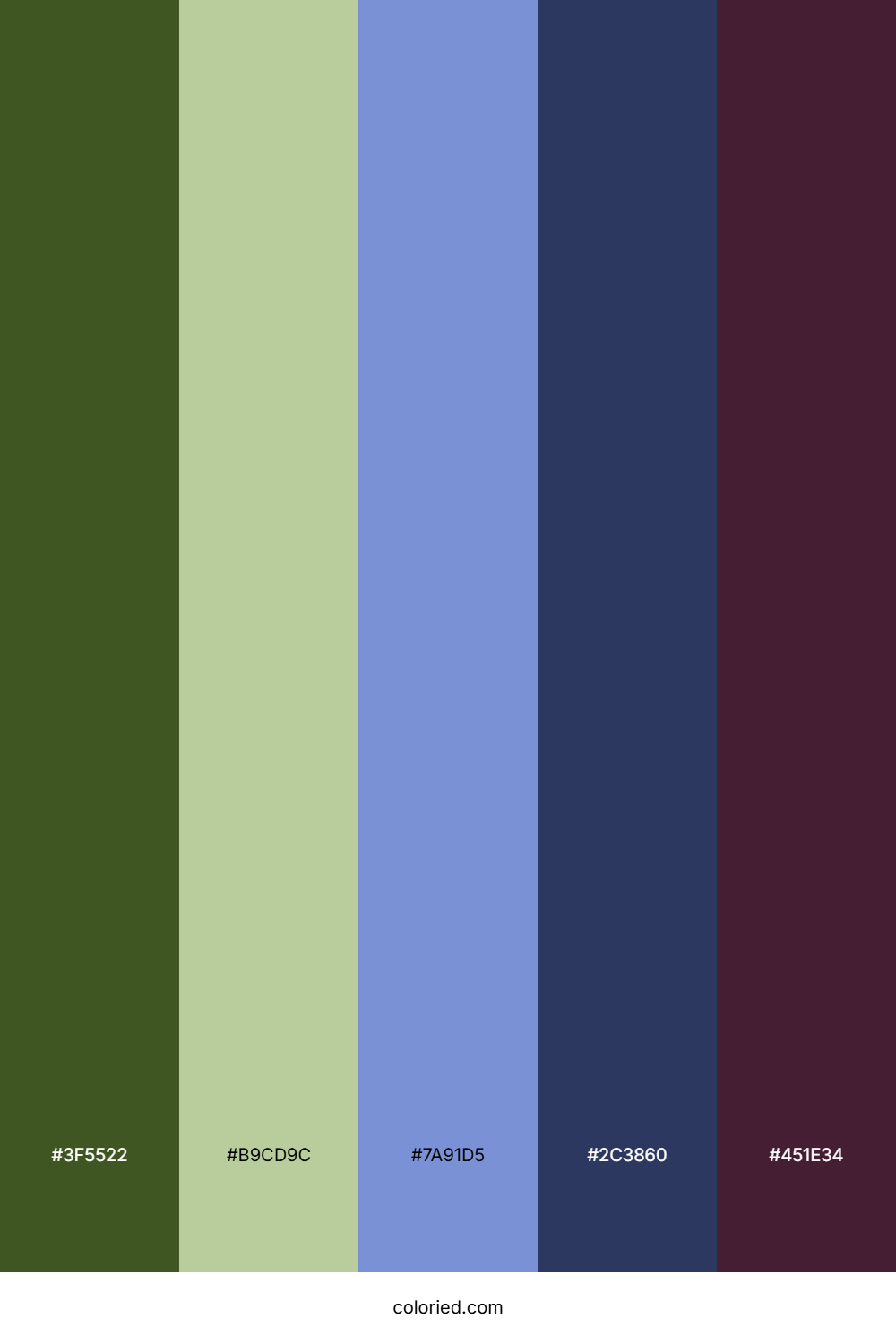 Forest Fern Twilight Palette