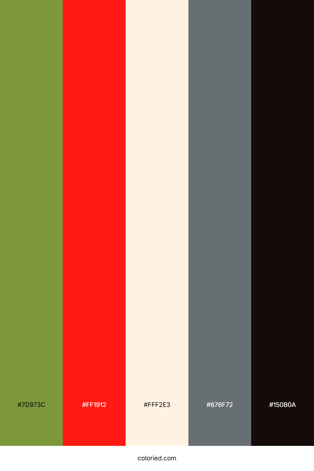 Forest Firefly Dawn Color Palette