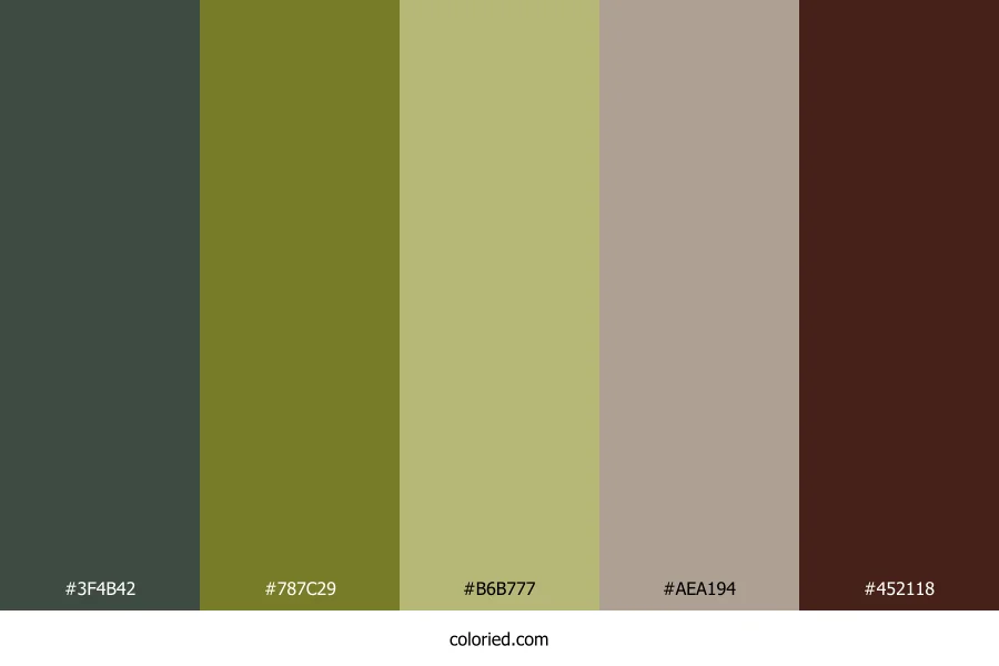 Forest Floor Shadows Color Palette