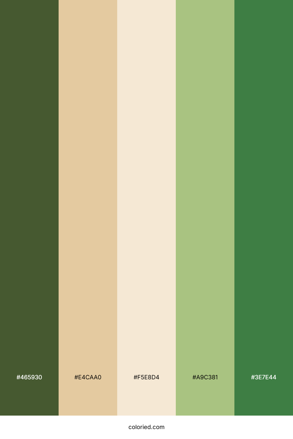 Forest Glen Bay Palette