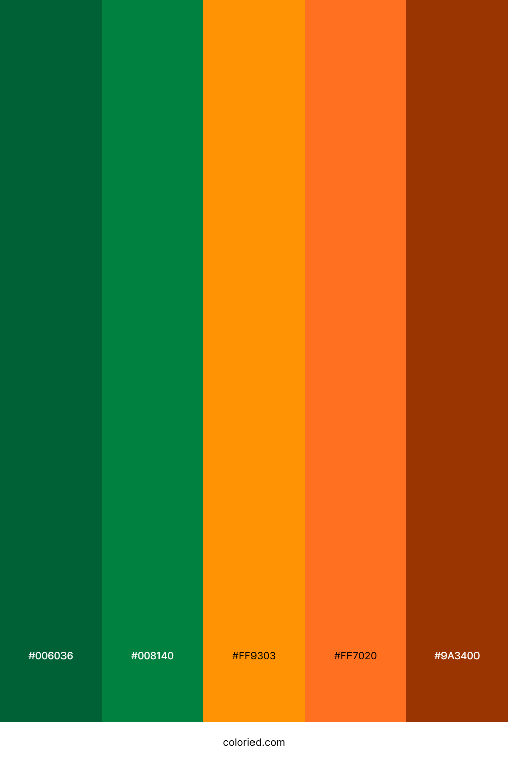 Forest Green And Bright Orange Color Palette