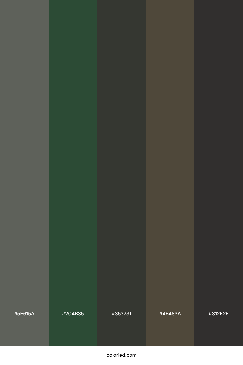 Forest Green and Brown Color Palette