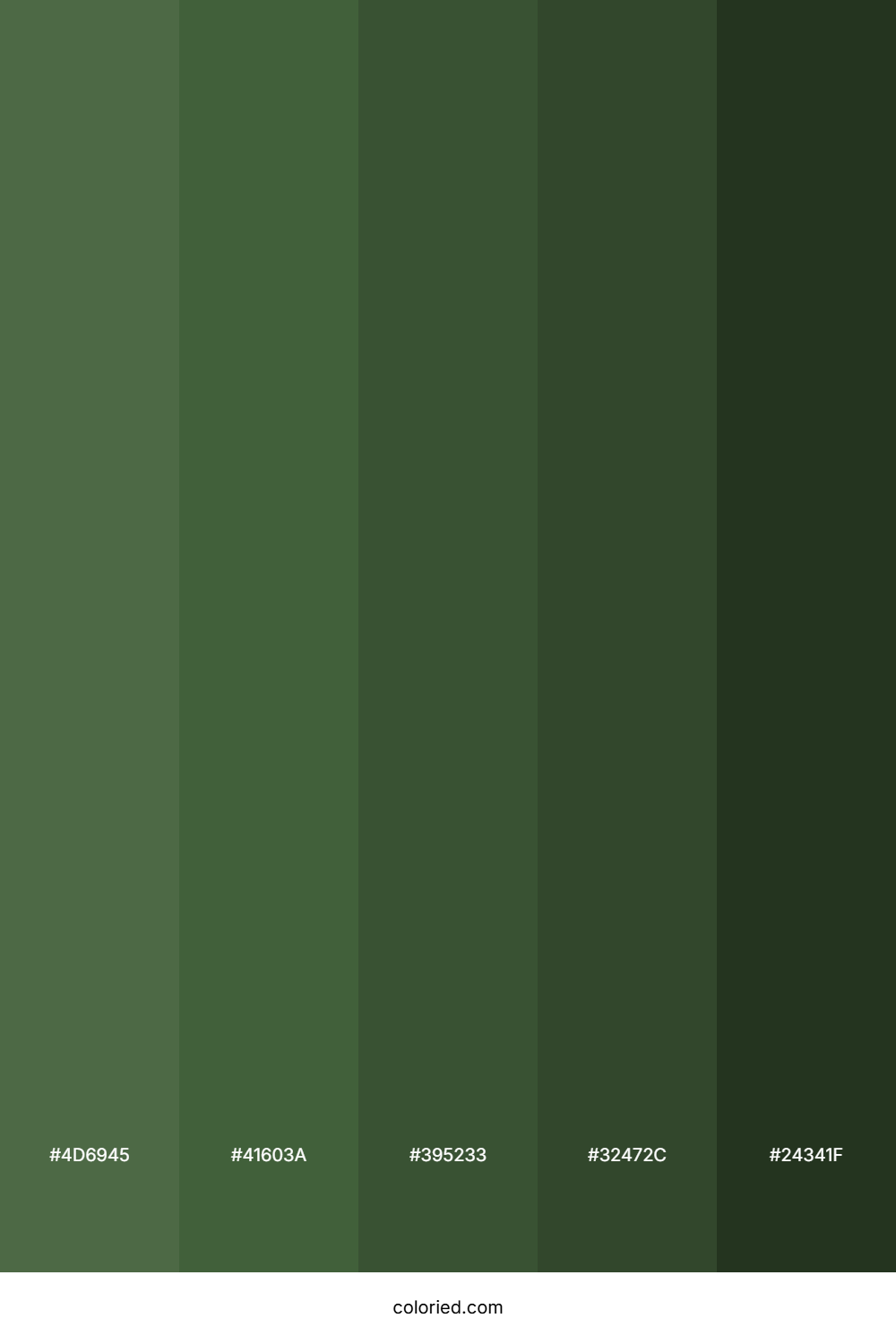 Forest Green and Deep Moss Color Palette