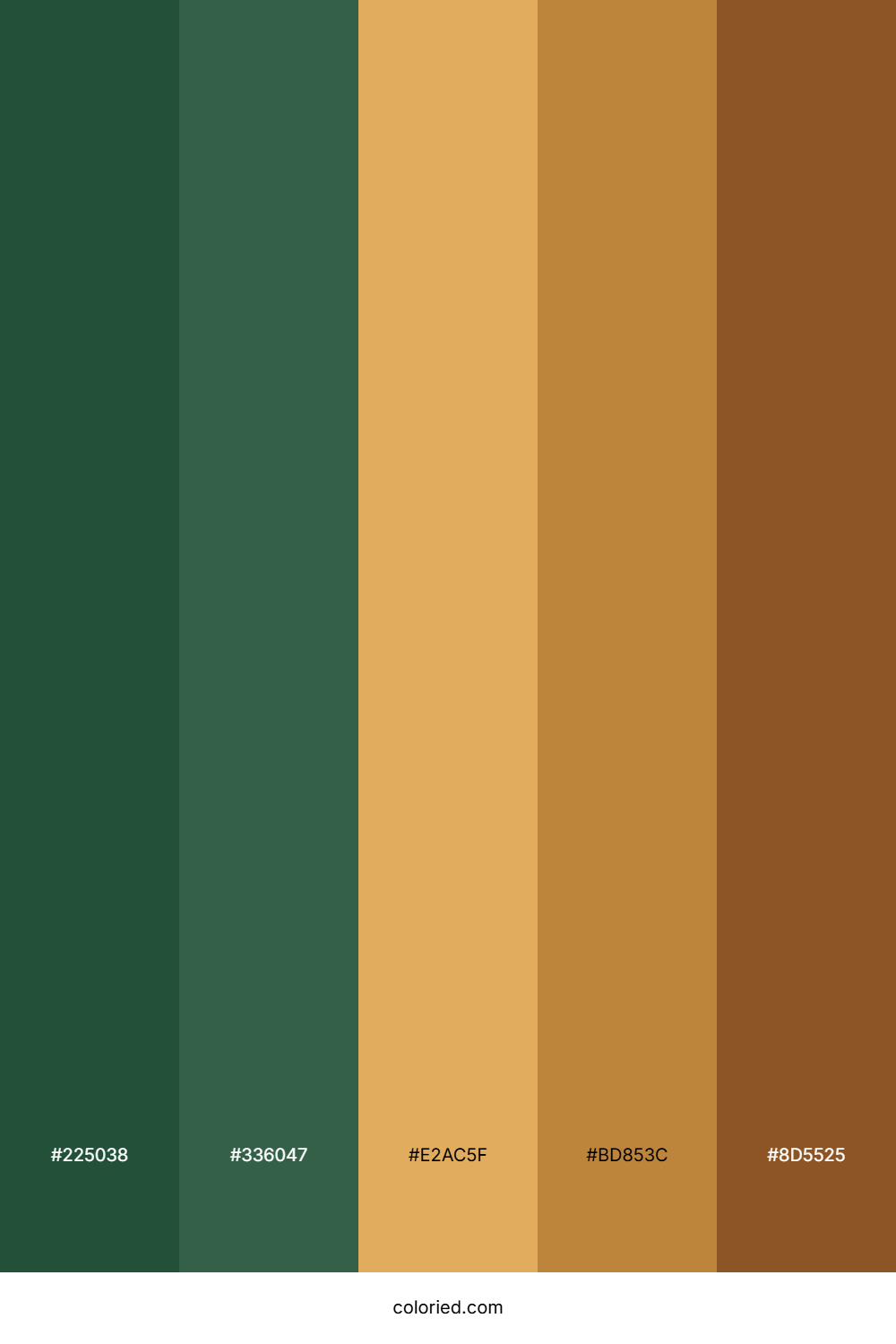 Forest Green and Desert Sand Color Palette
