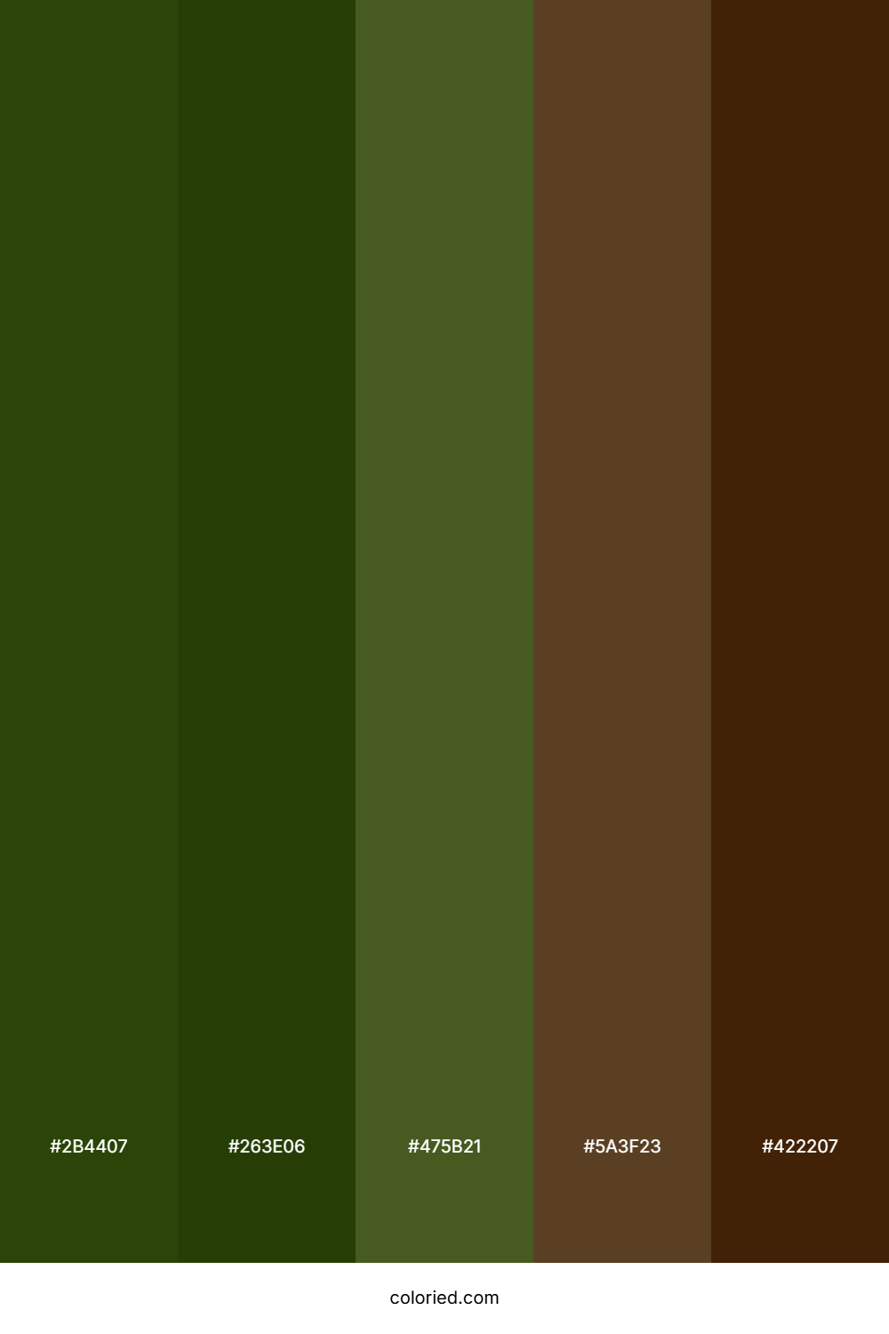 Forest Green and Earth Brown Color Palette