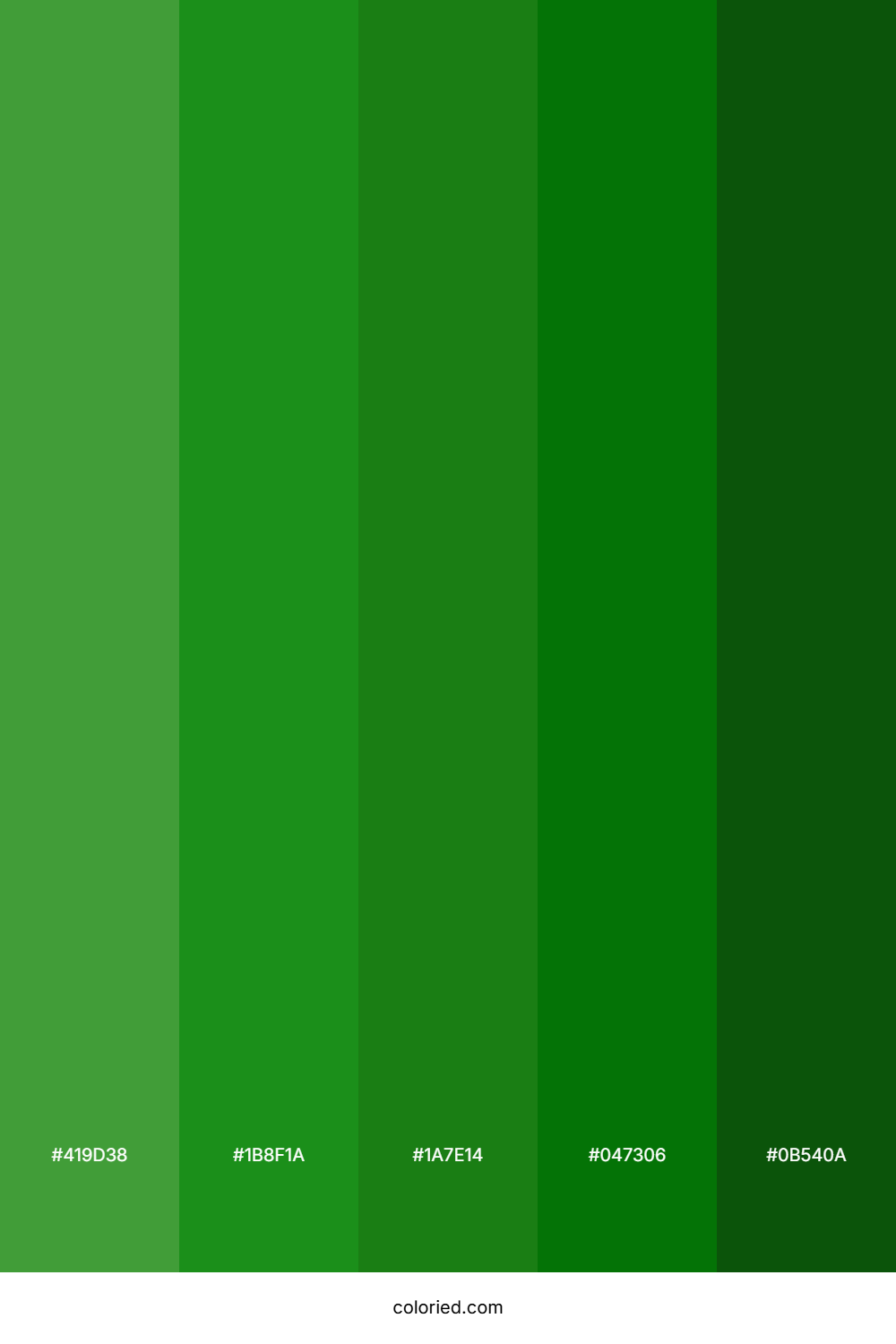 Forest Green and Emerald Color Palette