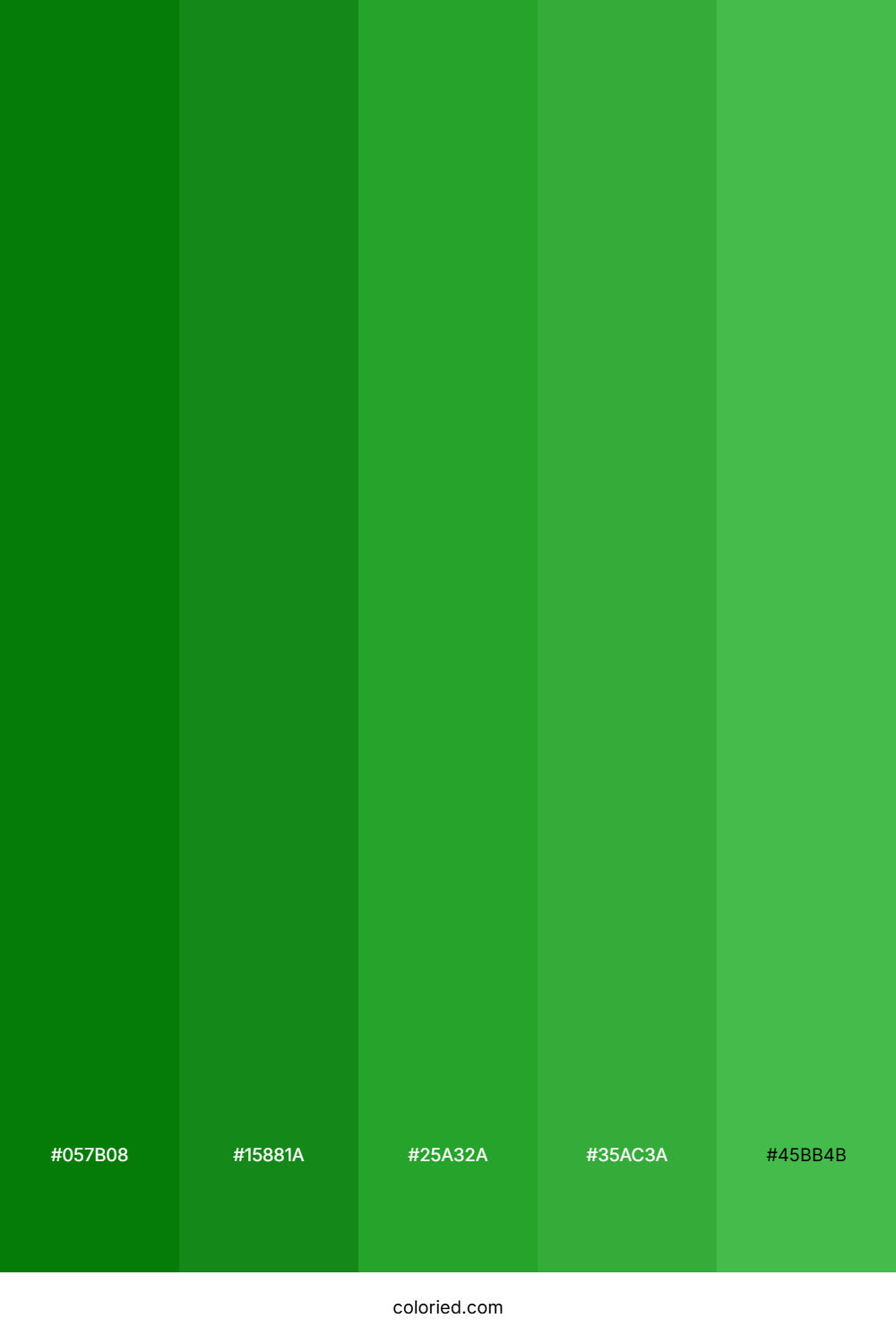 Forest Green And Lime Color Palette