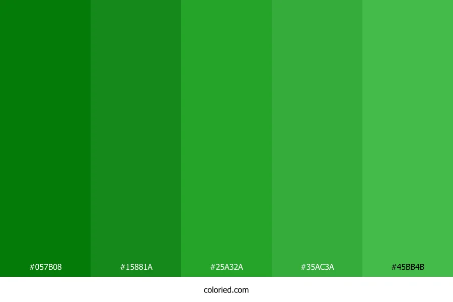 Forest Green and Lime Color Palette