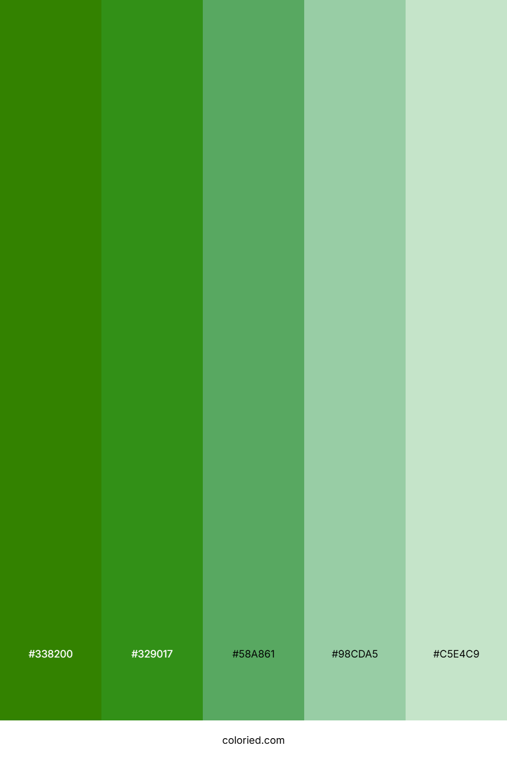 Forest Green and Mint Color Palette