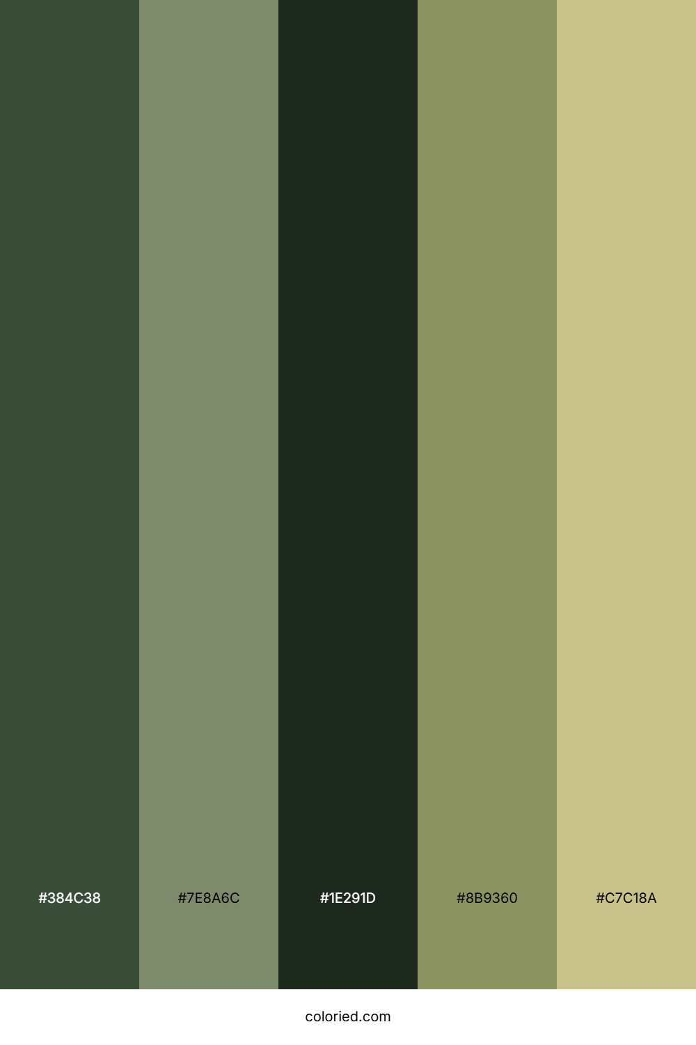 Forest Green And Olive Drab Color Palette