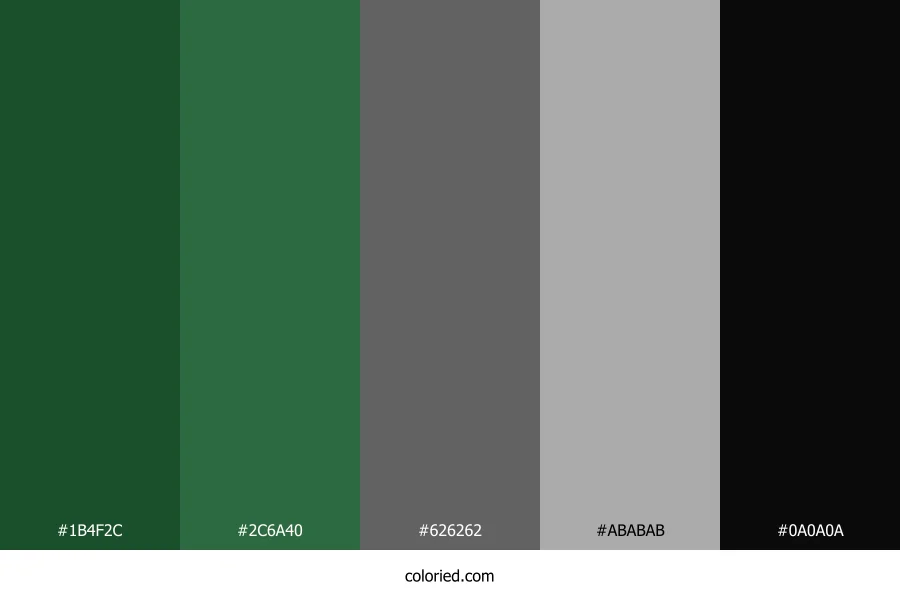 Forest Green and Slate Gray Color Palette
