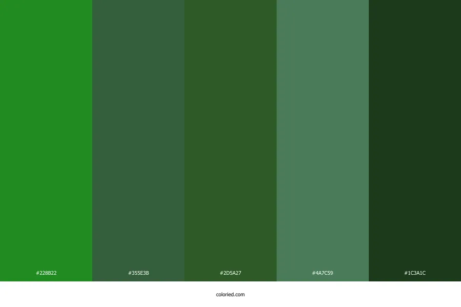Forest Green Color Palette